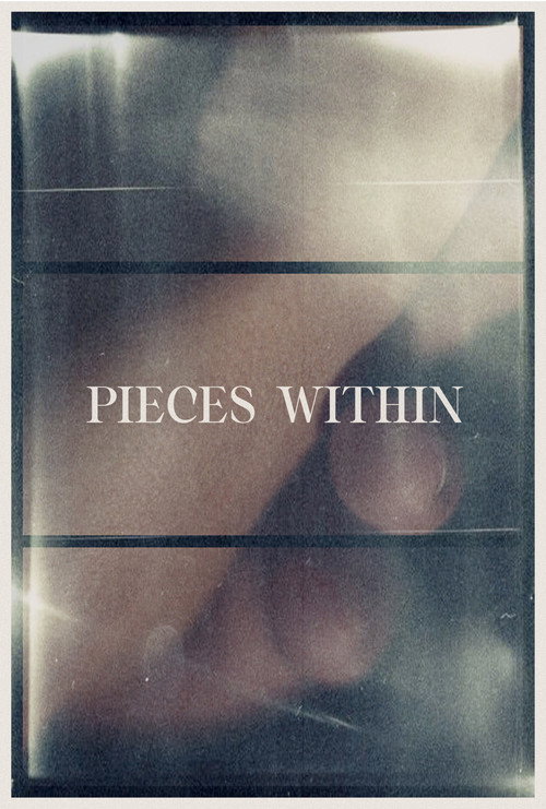 Movie poster for Pieces Within (2024)