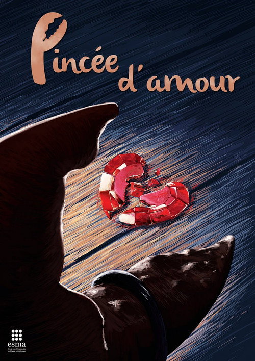 Movie poster for Pincée d'amour (2013)