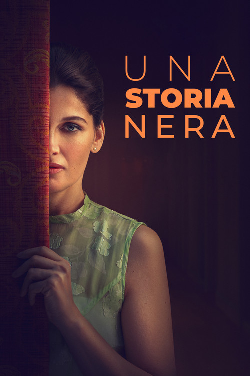 Movie poster for A Dark Story (2024)