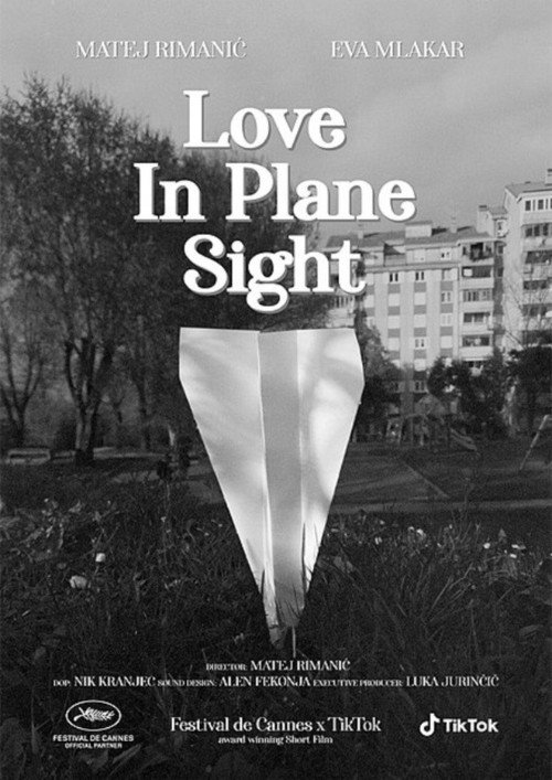 Movie poster for Love in Plane Sight (2022)