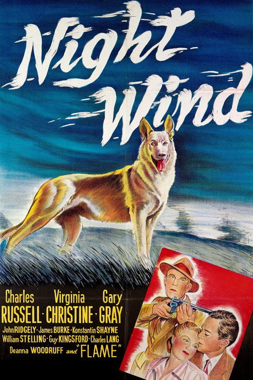 Movie poster for Night Wind (1948)