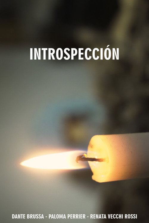 Movie poster for Introspección