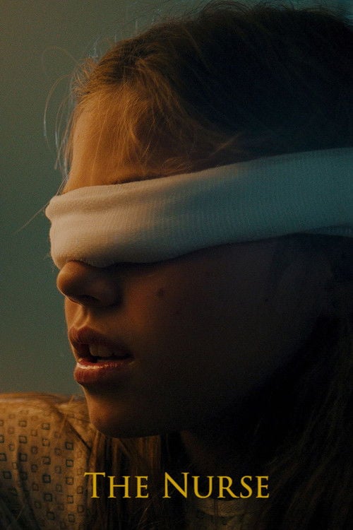 Movie poster for The Nurse (2017)