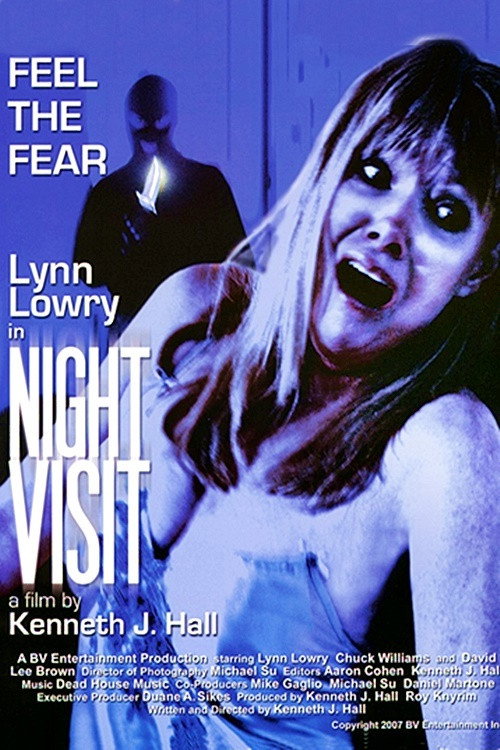 Movie poster for Night Visit (2007)