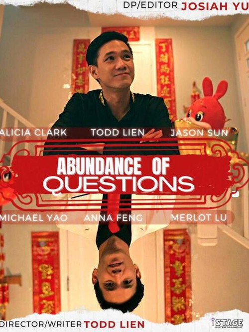 Movie poster for Abundance of Questions (2023)