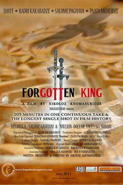 Movie poster for The Forgotten King (2013)