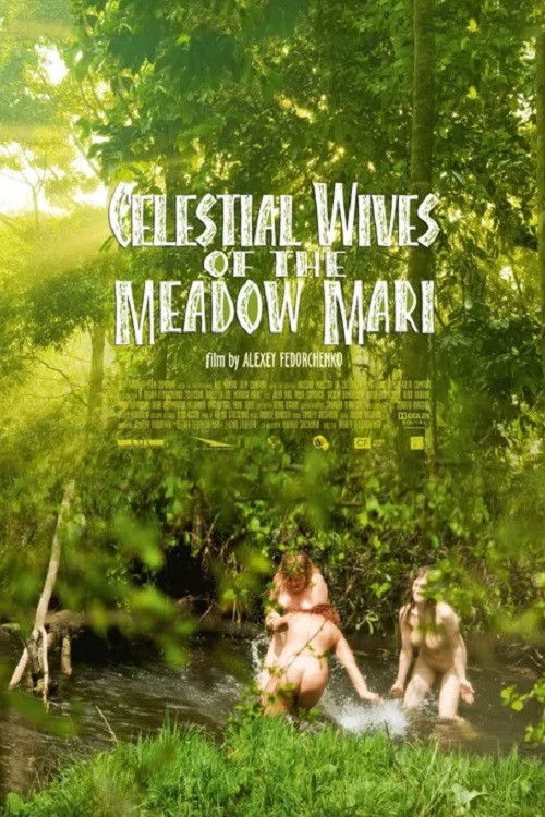 Movie poster for Celestial Wives of the Meadow Mari (2013)