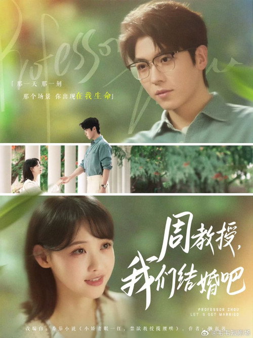 周教授，我们结婚吧 poster