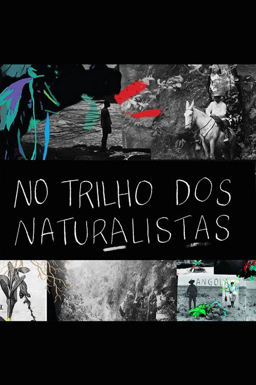 Movie poster for No Trilho dos Naturalistas: Angola (2016)