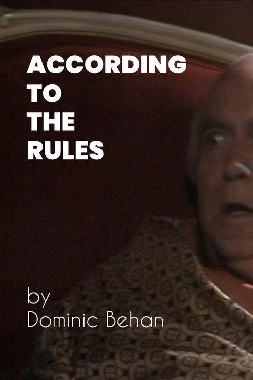 Movie poster for According to the Rules (1974)