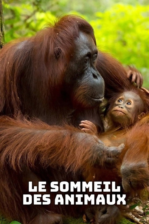 Movie poster for Le sommeil des animaux (2017)