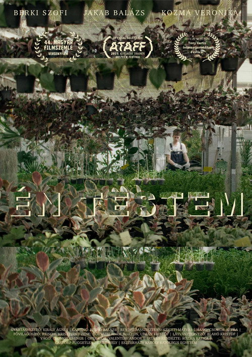 Movie poster for Én testem