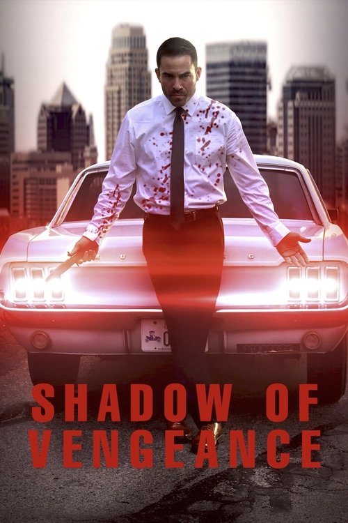 Movie poster for Shadow of Vengeance (2024)