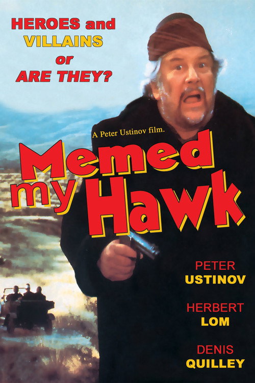 Movie poster for Memed My Hawk (1984)