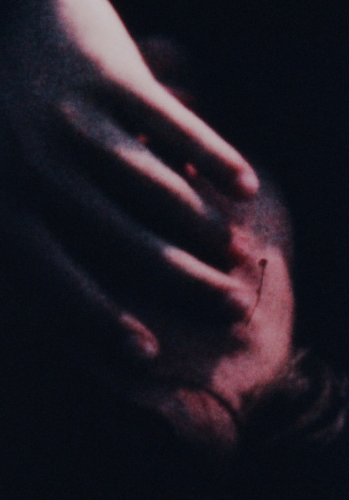 Movie poster for Chameleon (1969)