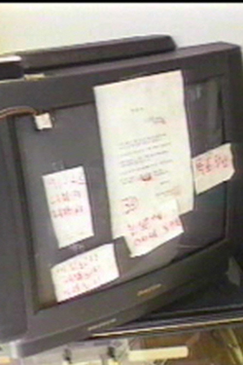 Movie poster for People In A Flood Of Media (1995)