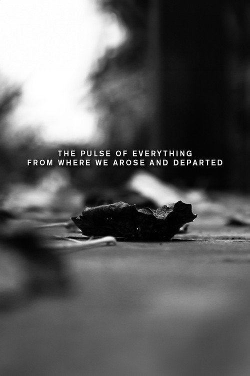 Movie poster for The pulse of everything from where we arose and departed (2023)