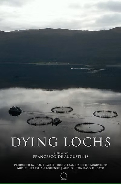 Movie poster for Dying Lochs