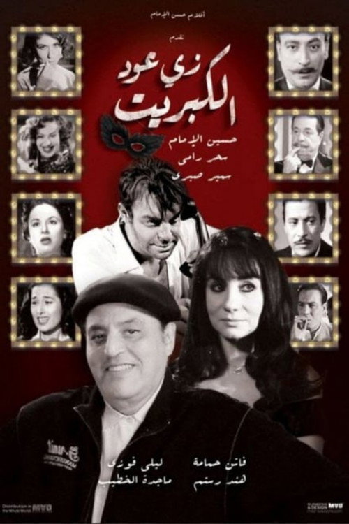 Movie poster for Like A Matchstick (2016)