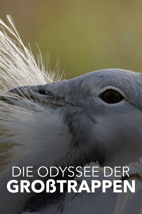 Movie poster for Glorious Bustards (2021)