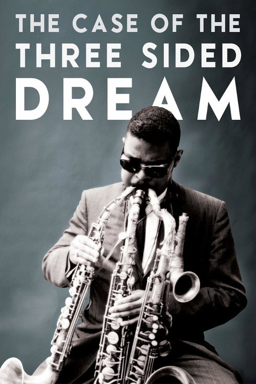 Movie poster for The Case of the Three Sided Dream (2014)