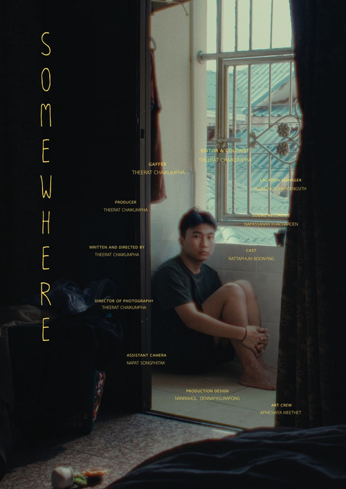 Movie poster for SOMEWHERE