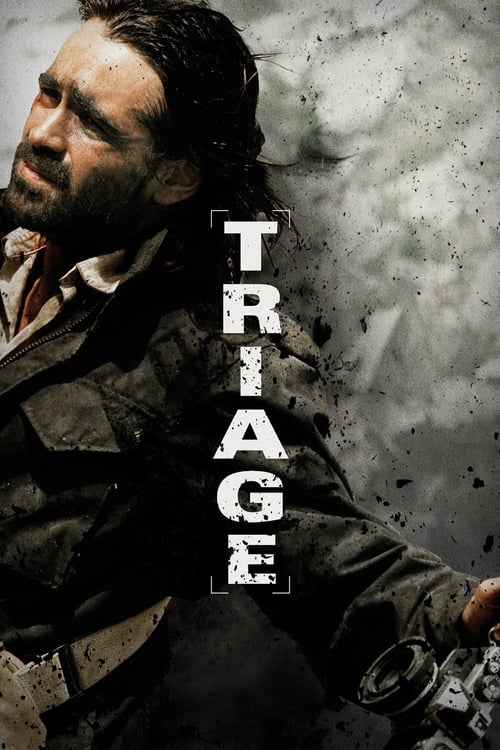Movie poster for Triage (2009)