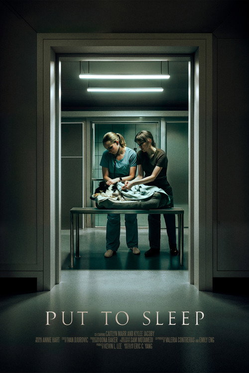 Movie poster for Put To Sleep (2024)