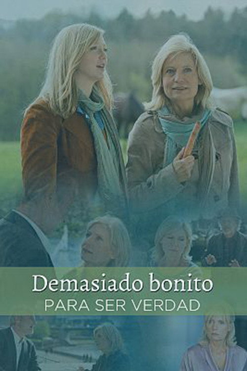 Movie poster for Zu schön um wahr zu sein (2012)