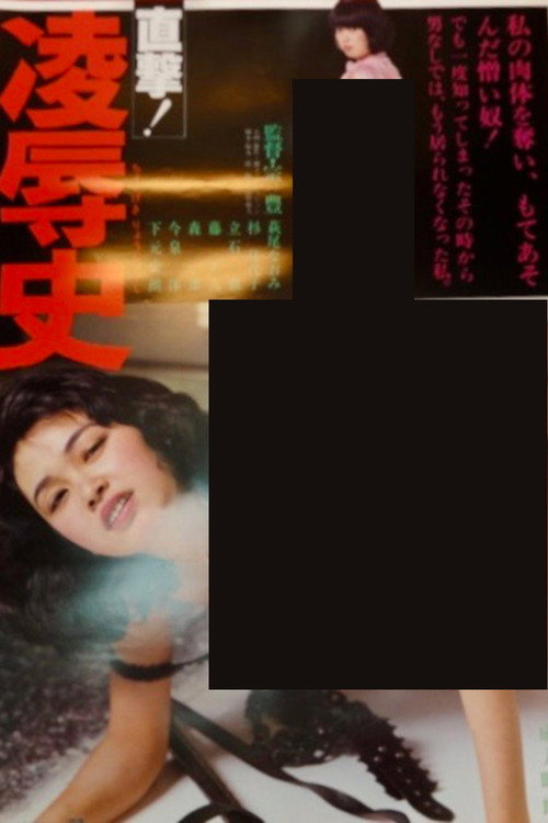 Movie poster for Direct Hit! History of Assault (1981)