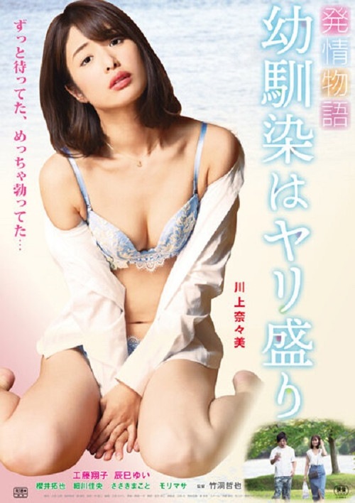 Movie poster for Hatsujō monogatari: Osananajimi wa Yari-mori (2019)