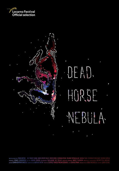 Movie poster for Dead Horse Nebula (2018)