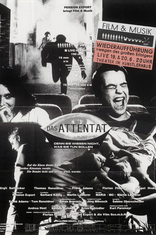 Movie poster for The Assault - They didn't know what to do (1989)
