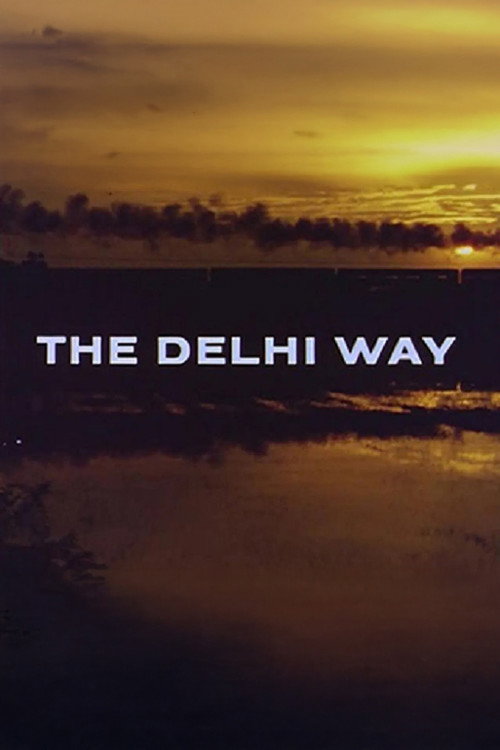 Movie poster for The Delhi Way (1964)