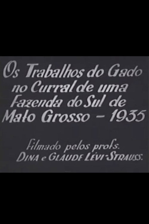 Movie poster for Cattle Work in the Corral of a Farm in Southern Mato Grosso (1935)