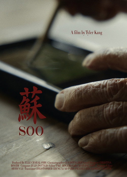 Movie poster for Soo