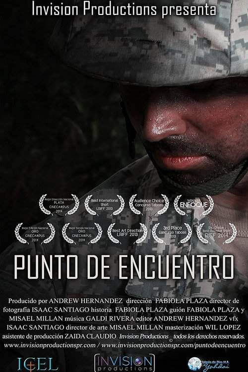 Movie poster for Punto de encuentro (2013)