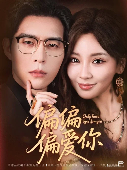 偏偏偏爱你 poster