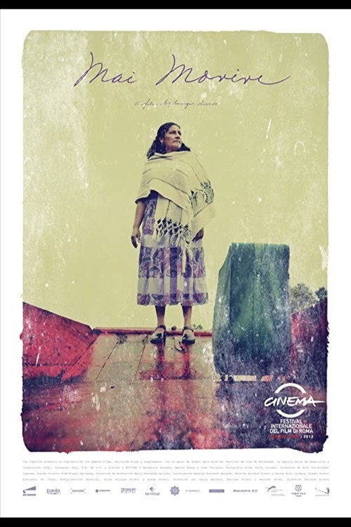 Movie poster for Never Die (2013)