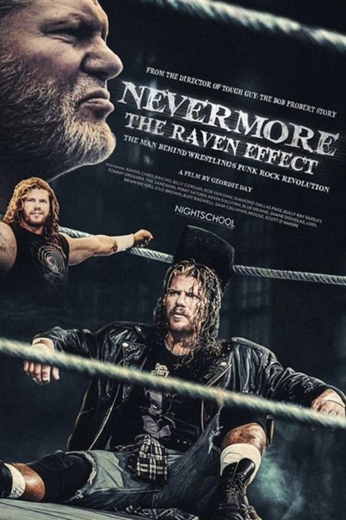 Movie poster for Nevermore: The Raven Effect (2025)