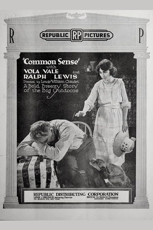 Movie poster for Common Sense (1920)
