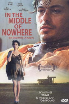 Movie poster for In The MIddle of Nowhere (1993)