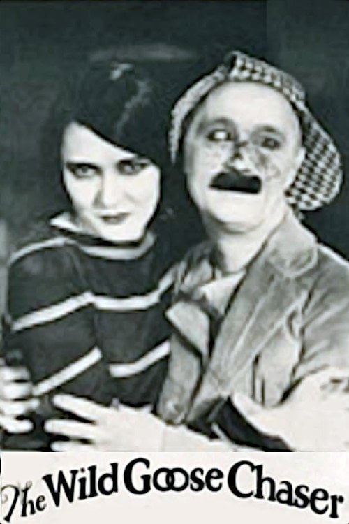 Movie poster for The Wild Goose Chaser (1925)