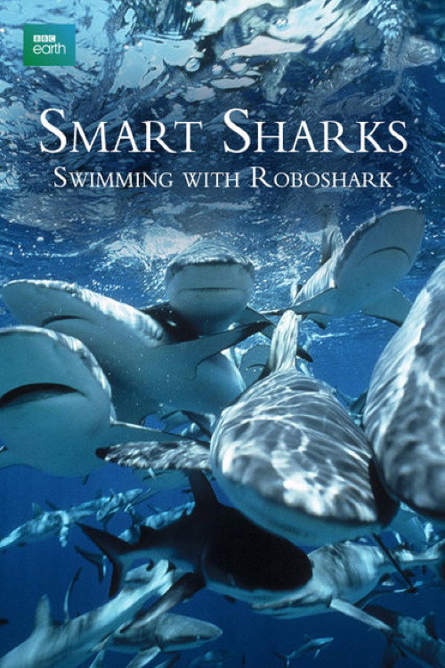 Movie poster for Smart Sharks: Swimming With Roboshark (2003)