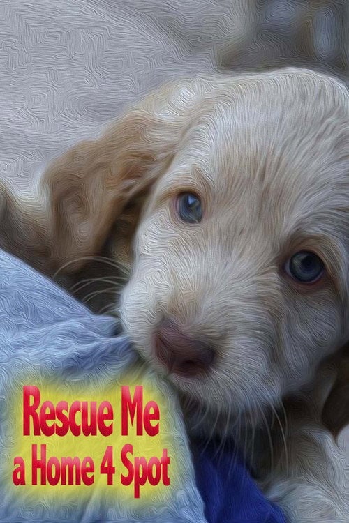 Movie poster for Rescue Me: A Home 4 Spot (2019)