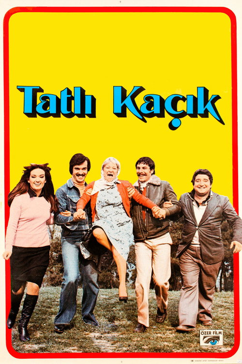 Movie poster for Tatlı Kaçık (1977)