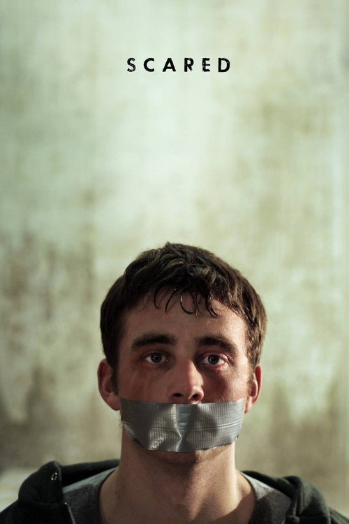 Movie poster for Scared (2012)