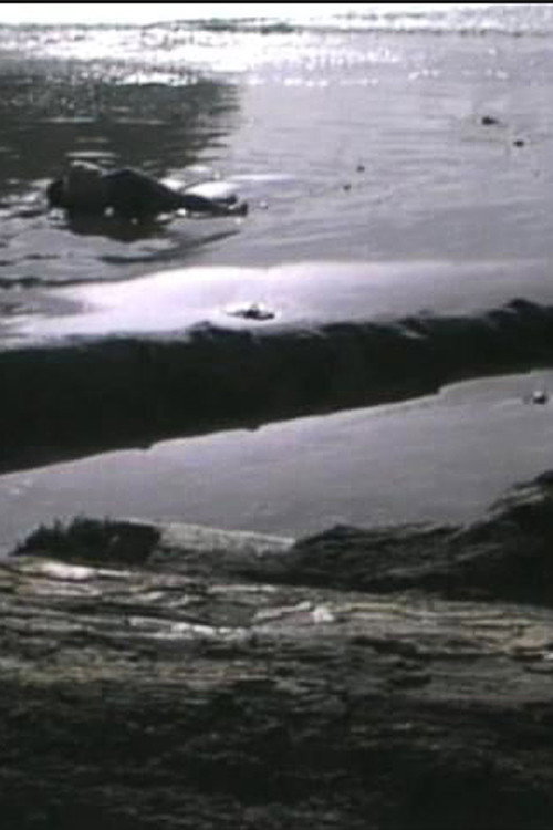 Movie poster for Incidence of Catastrophe (1988)