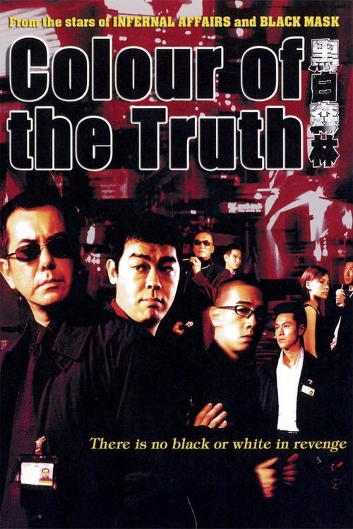 Movie poster for Colour of the Truth (2003)