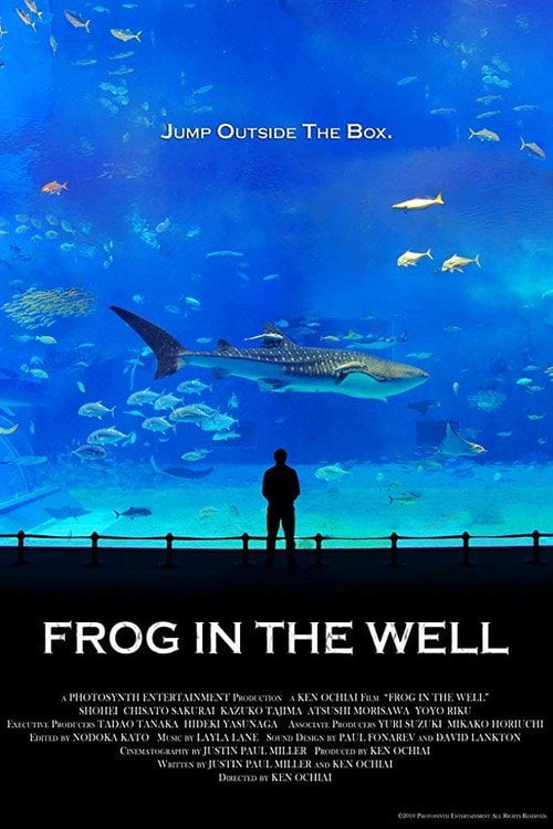 Movie poster for Frog in the Well (2010)